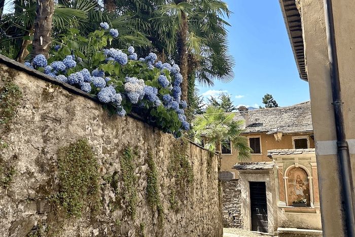 Palm trees and flowers grow over a stone wall on a narrow street on the island of San Giulio.