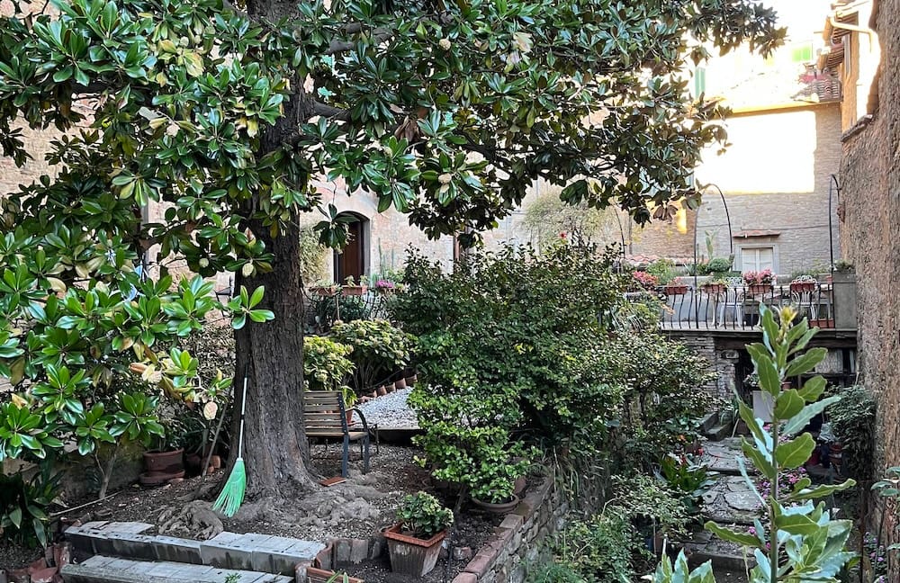 The lush backyard of my Cortona Airbnb.